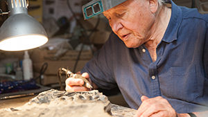 Attenborough and the Sea Dragon