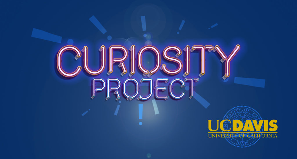 Curiosity Project
