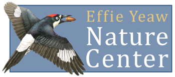 Effie Yeaw Nature Center Logo