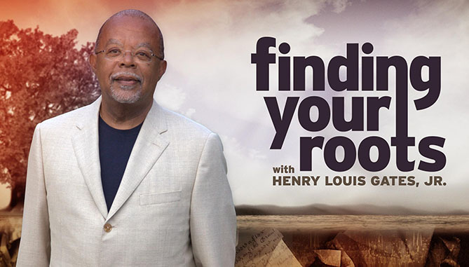 Stream Finding your Roots