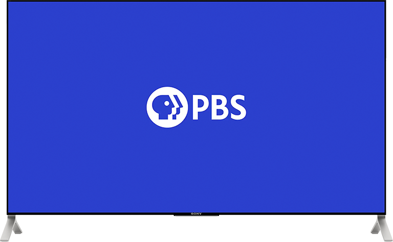 PBS App Launch Screen on TV