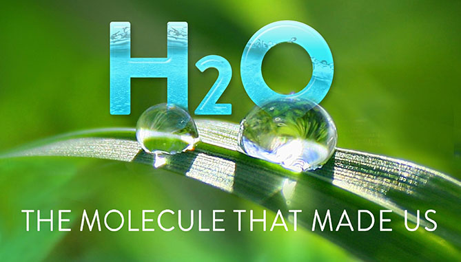 Stream H2O: The Molecule that Made Us