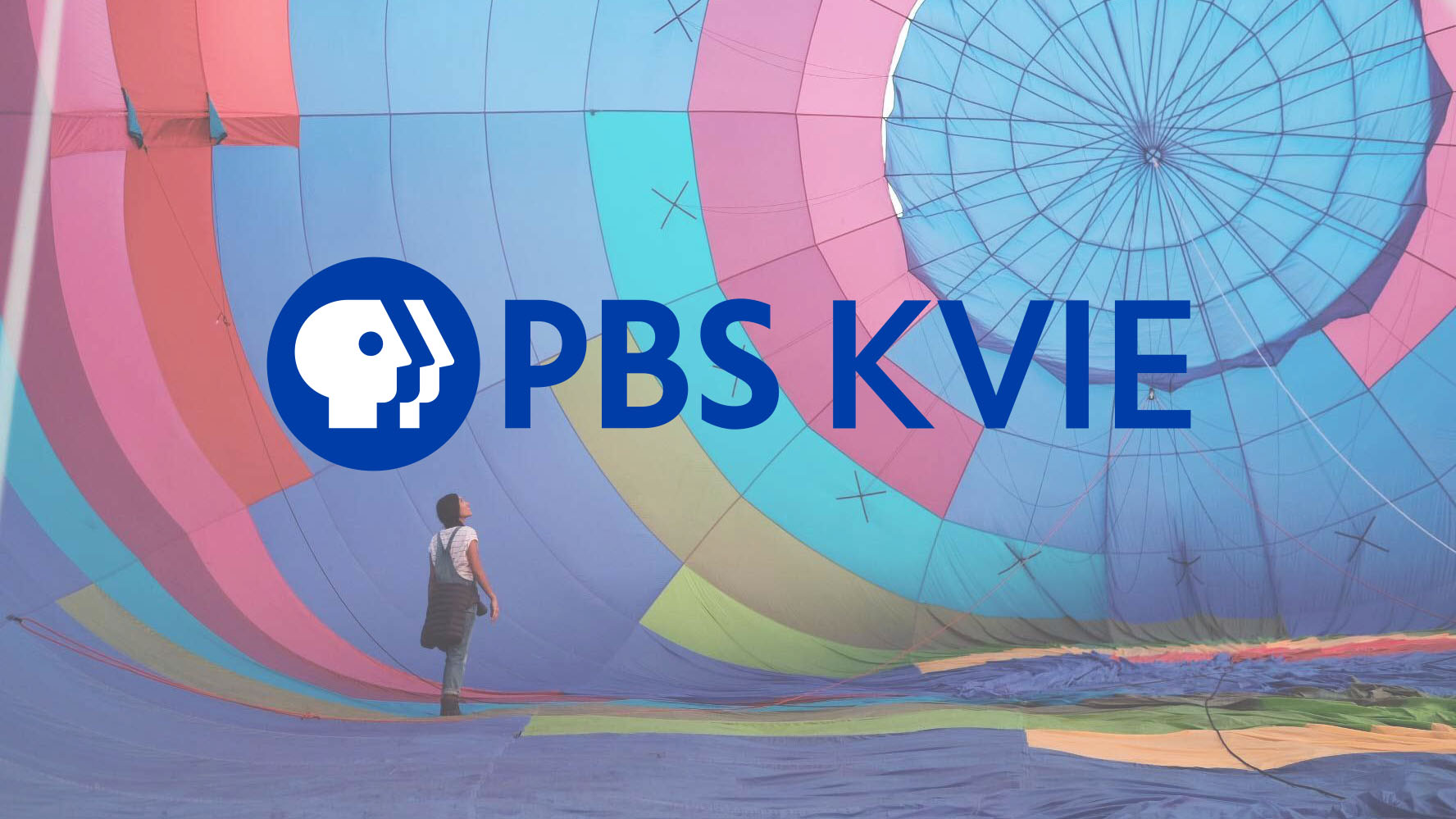 PBS KVIE Art Auction