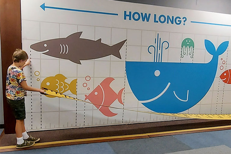 Boy holding giant measurement tape measuring length of the wall with fish illustrations