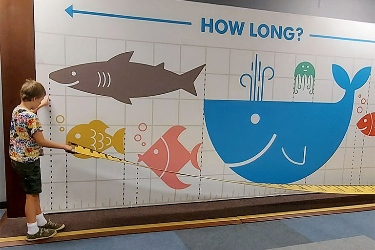 Kid measuring Boy holding giant measurement tape measuring length of the wall with fish illustrations