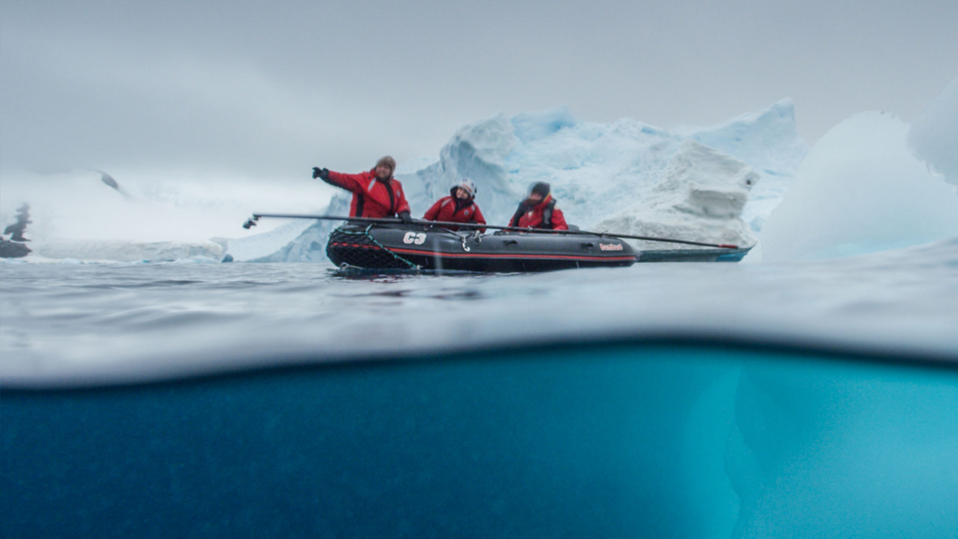 Whale researchers attach sensors to humpback whales to gather scientific information.