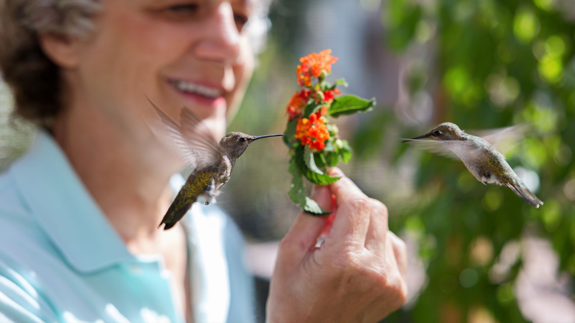 Follow Terry Masear on her transformative journey as she nurtures wounded hummingbirds, unraveling a visually captivating and magical tale of love, fragility, and healing.