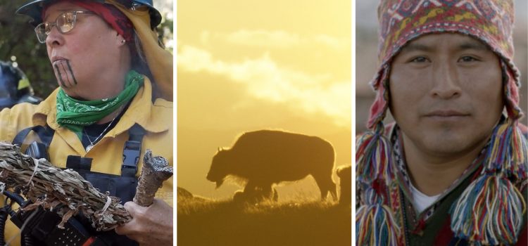 Celebrate Native American Heritage Month: What to Watch & Stream Celebrate Native American Heritage Month: What to Watch & Stream