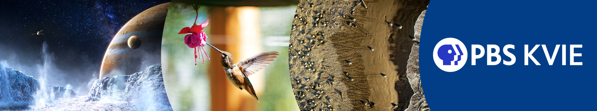 Science Newsletter Banner