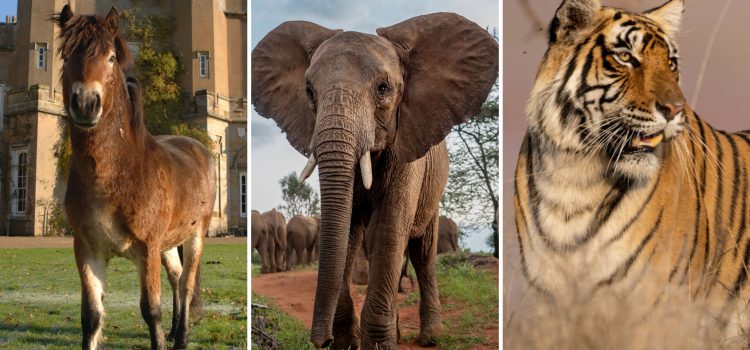 Celebrate Earth Month: What to Watch & Stream