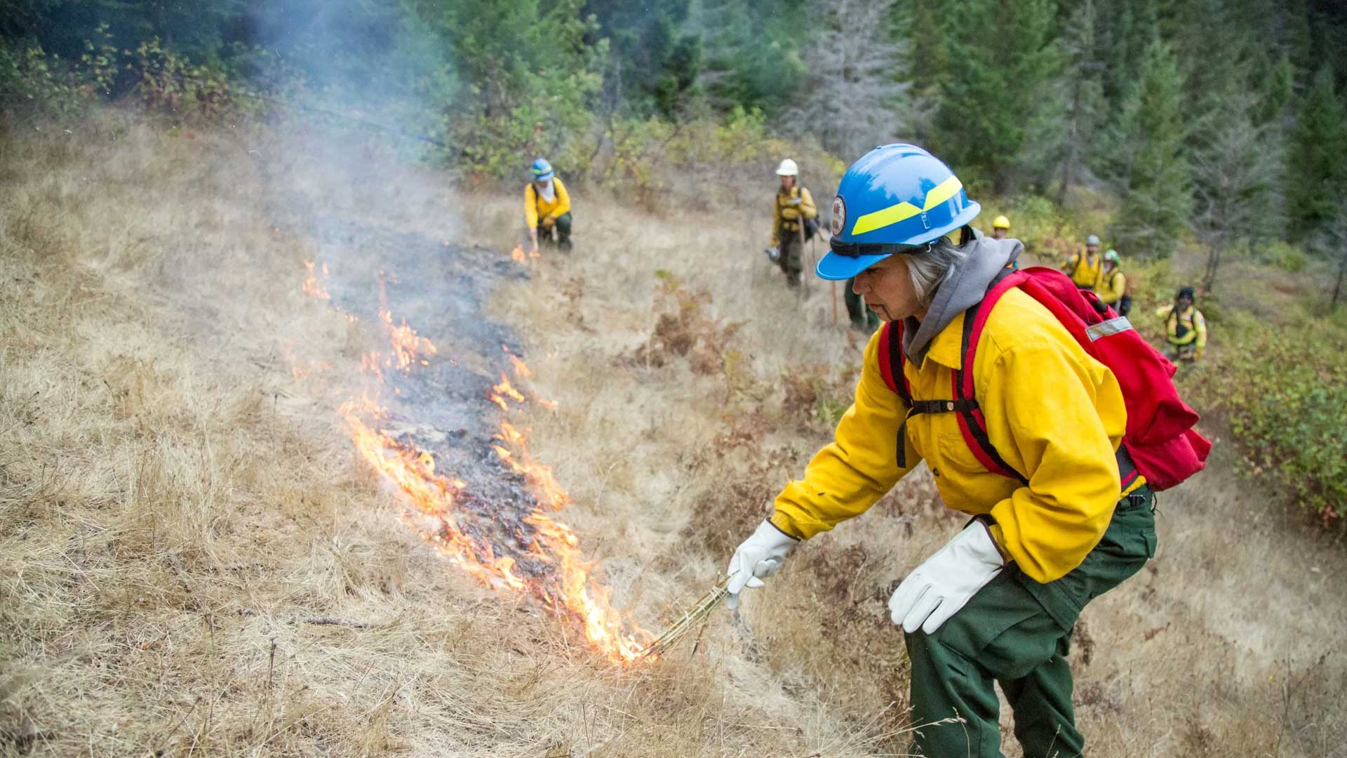 Elemental: Reimagine Wildfire