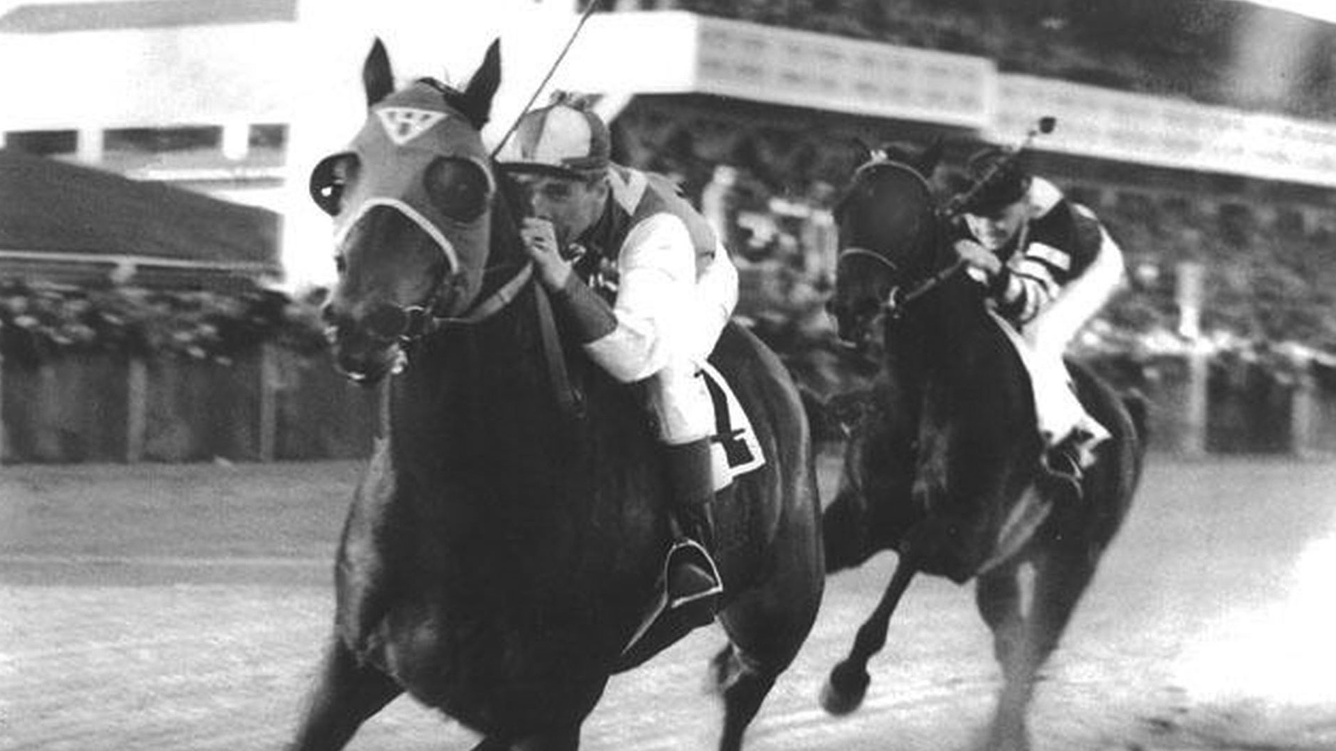 An over-worked horse and a broken-down jockey capture the nation's imagination.