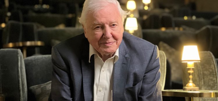 Happy 100th Birthday, David Attenborough!