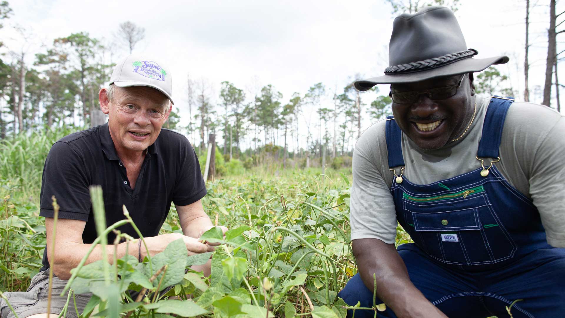 Martin Clunes: Islands of America