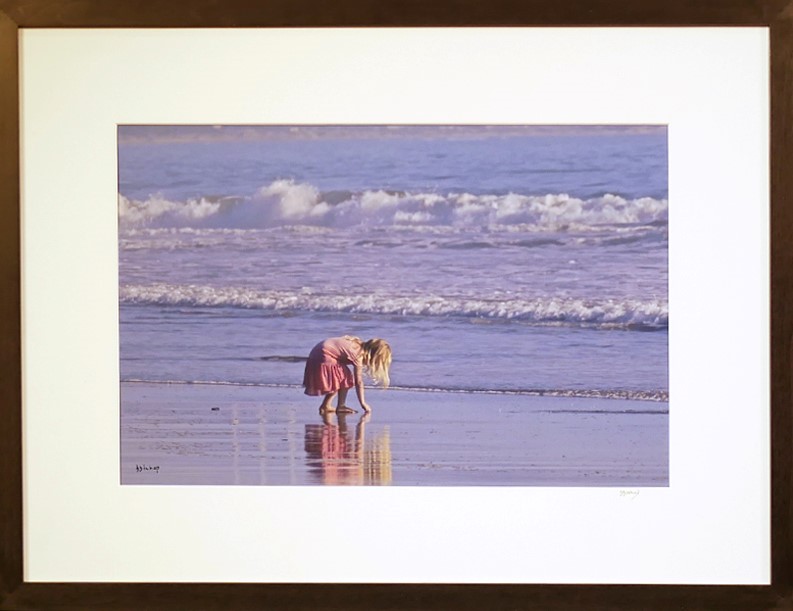 The Beach Comber