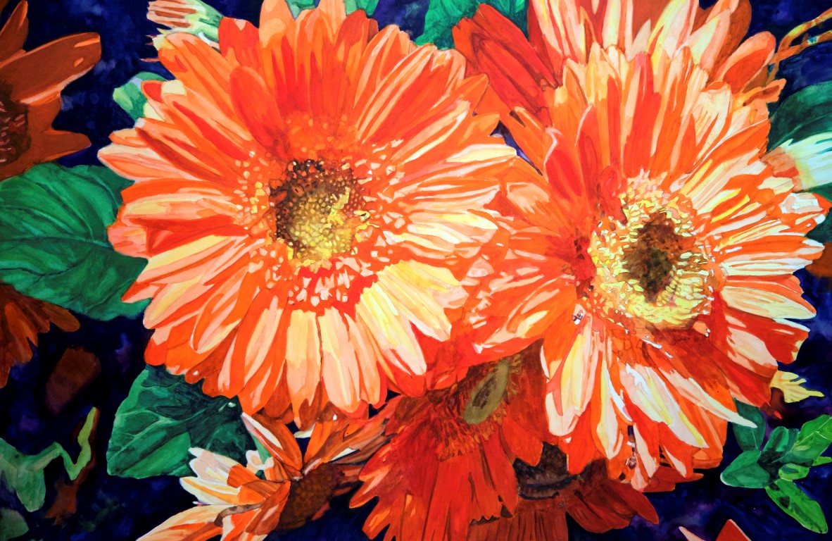 Gerbera Daisy