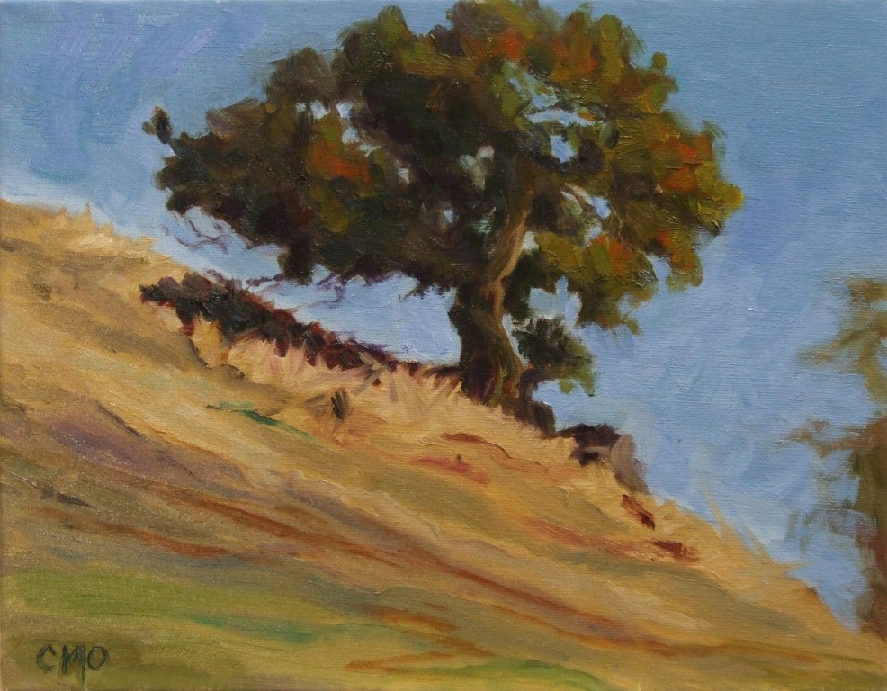 St. Vincent's: CA Live Oak