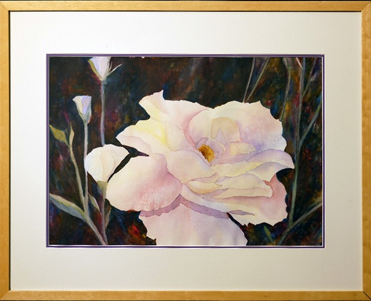Creamy Rose