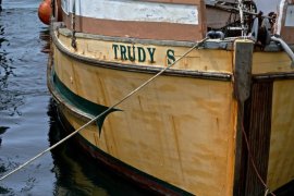 Trudy 6 (18"x24")